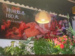-沧州成老灶火锅鸡(鹿泉总店)