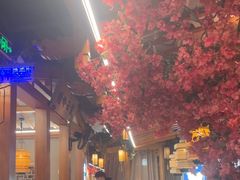 -巴渝瓦肆重庆鲜火锅(宝龙环湖店)