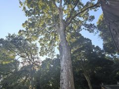 -都江堰普照寺