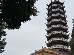 -仙岳公园