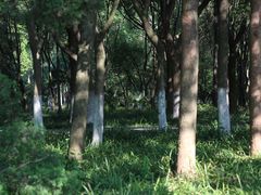 -T80科技文化国际社区-停车场