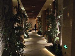 -浅深(北京北四环精品店)
