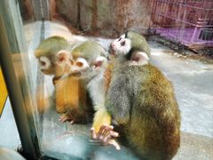 -泉城欧乐堡海洋极地世界