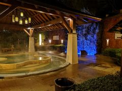 -天目湖涵田半山温泉