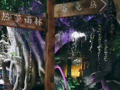-泉城欧乐堡海洋极地世界
