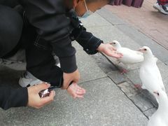 -王府井奥莱临潼小镇(临潼店)