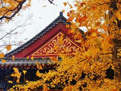 -青岛崂山太清宫