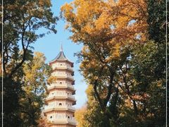 -灵谷景区