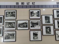 -信阳博物馆