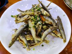 -全乐鱼馆·淳牌有机鱼直营店