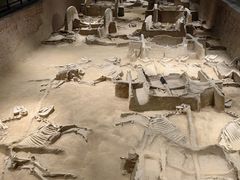 -洛阳周王城天子驾六博物馆