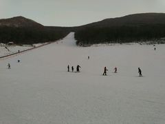 -五家山森林公园滑雪场