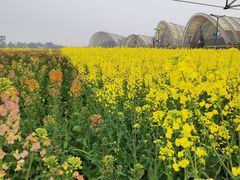 -中国天府农业博览园