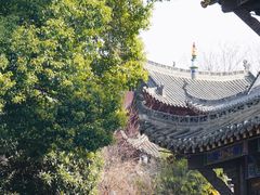 -长春观