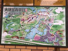 -大塘金香草谷