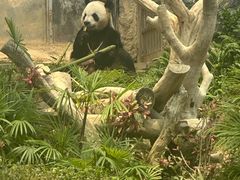 -石排湾郊野公园