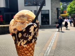 -Patagonia Chocolates(皇后镇店)