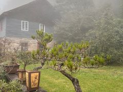 -庐山风景区花径公园