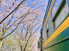 -新天地活力PARK