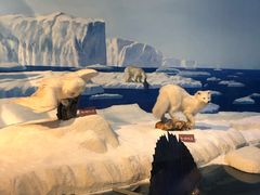 -陕西自然博物馆