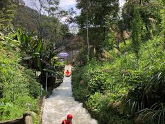 -龙岩森林水乡景区