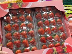 -麦德龙(十里河店)