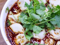 酸汤牛肉水饺-回坊马二饺子馆