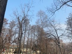 -九华山公园