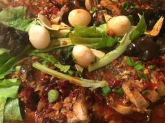 -鱼酷活鱼烤鱼(昆明路店)