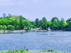 -东湖听涛景区