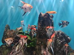 -海合安武汉极地海洋公园