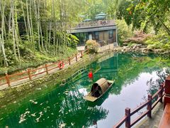 -十八棵（老龙井）御茶园(老龙井店)