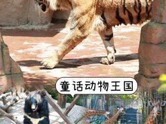 -长鹿旅游休博园