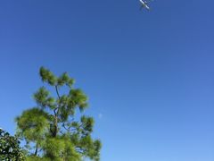 -上海滴水湖皇冠假日酒店