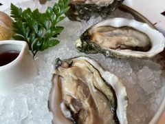 法国空运生蚝-福楼法餐厅FLO