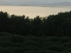 -盐洲岛