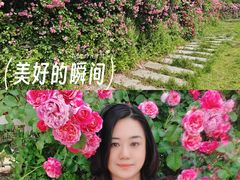 -太阳宫公园