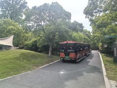 -东平国家森林公园
