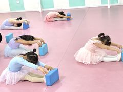 -桃子公主舞蹈培训(万柳校区)