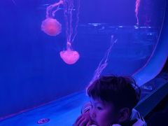 -左海海底世界