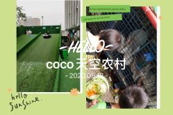 点击看大图 -可可天空农场(中大店)