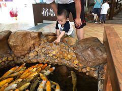 -伯乐居茶艺馆(石岐大信店)