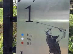 -观澜湖高尔夫球会