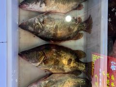 -江湖水乡铁锅炖魚(周庄嘉园店)