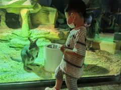 -zoonana室内动物园(东方福来德店)