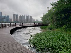 -桃花岭景区