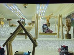 -风云再起游乐汇(北京西单西西友谊店)