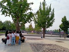 -大雁塔北广场音乐喷泉
