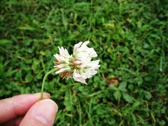 -白鹭湾湿地公园