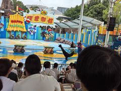 -海合安成都极地海洋公园